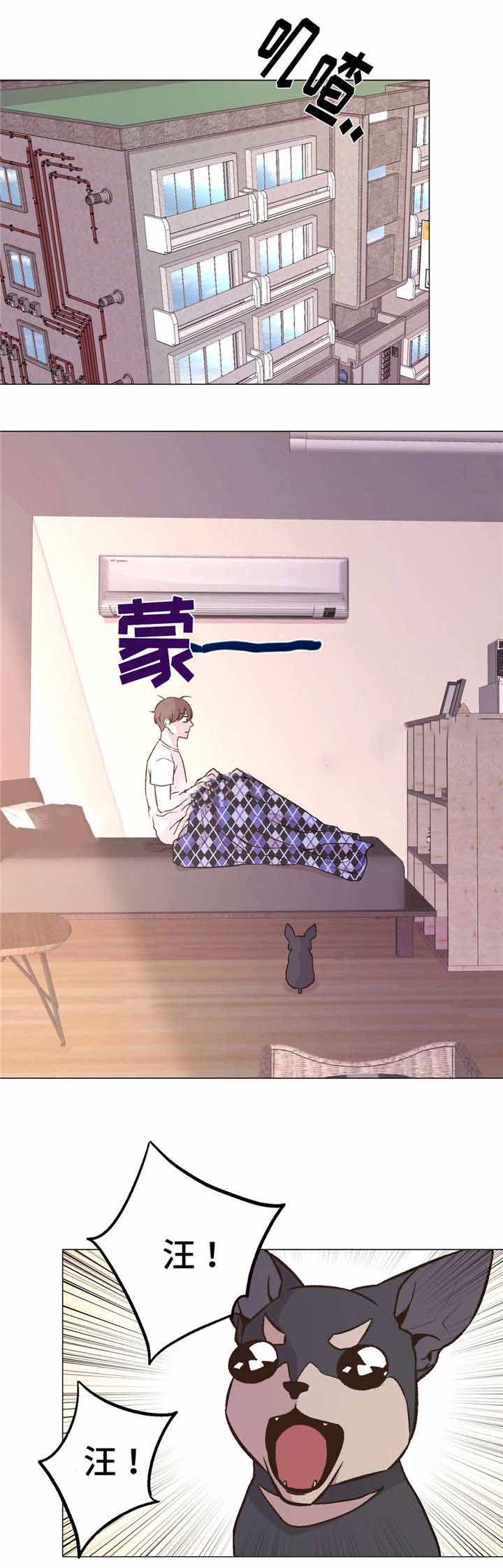 《最终挑选》漫画最新章节第44话免费下拉式在线观看章节第【13】张图片