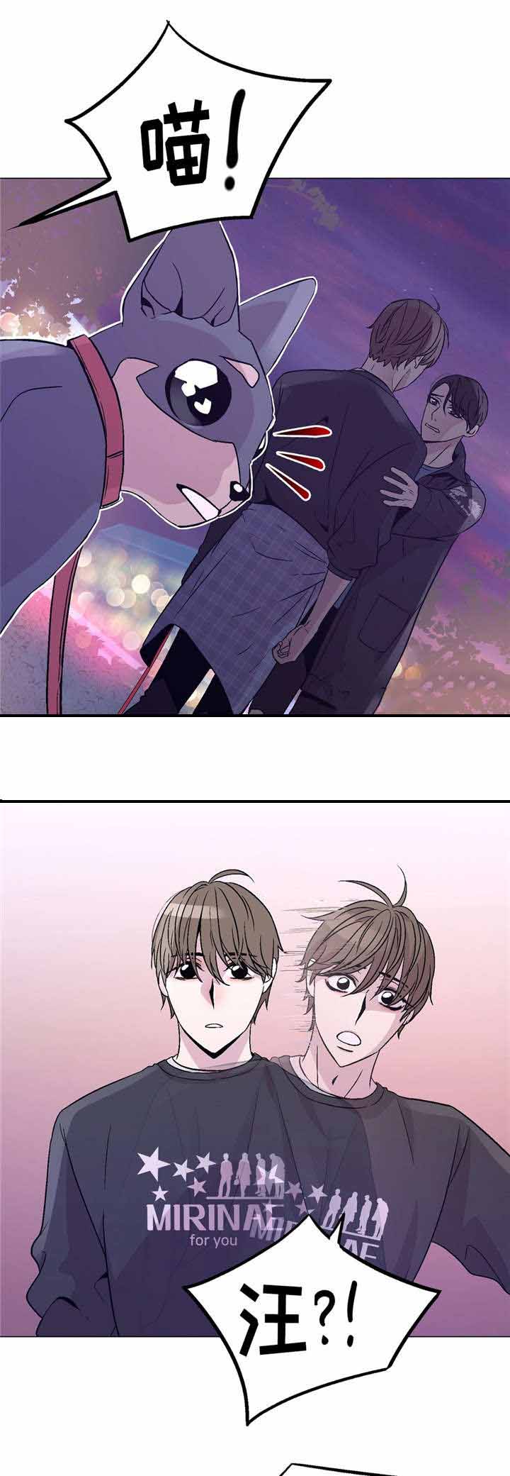 《最终挑选》漫画最新章节第53话免费下拉式在线观看章节第【13】张图片
