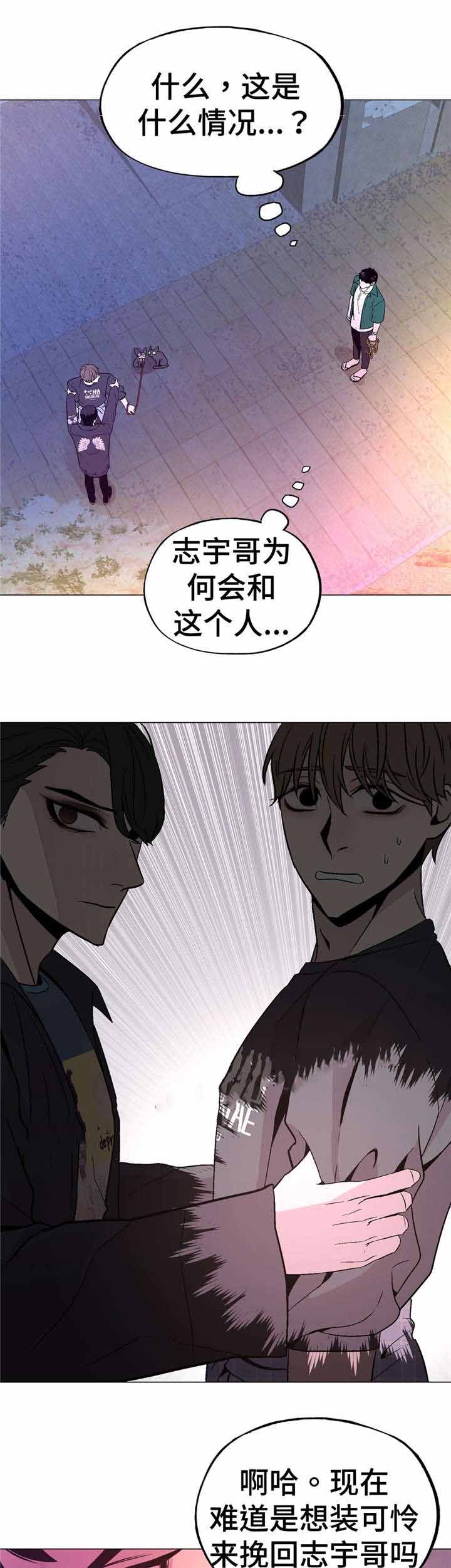 《最终挑选》漫画最新章节第53话免费下拉式在线观看章节第【19】张图片