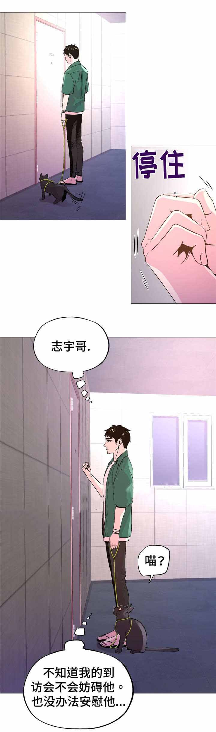 《最终挑选》漫画最新章节第52话免费下拉式在线观看章节第【7】张图片