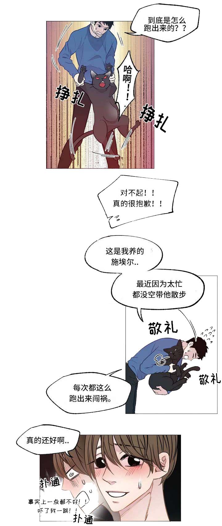 《最终挑选》漫画最新章节第1话免费下拉式在线观看章节第【21】张图片