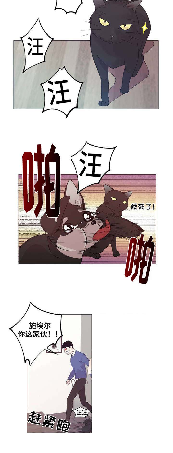 《最终挑选》漫画最新章节第1话免费下拉式在线观看章节第【19】张图片