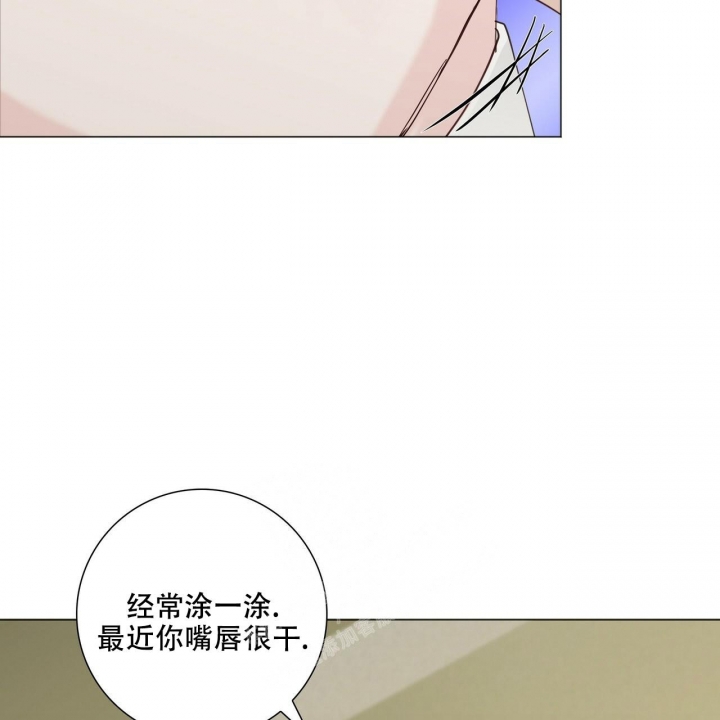 《专注的爱》漫画最新章节第17话免费下拉式在线观看章节第【26】张图片