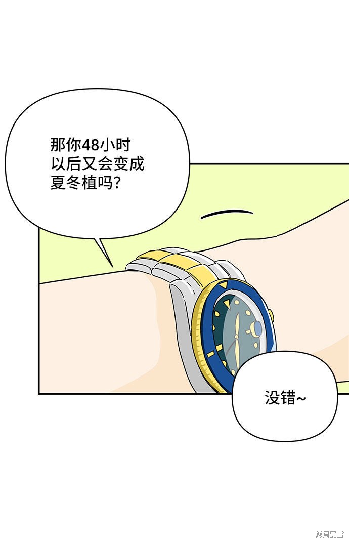 《夏日限定男生》漫画最新章节第43话免费下拉式在线观看章节第【25】张图片