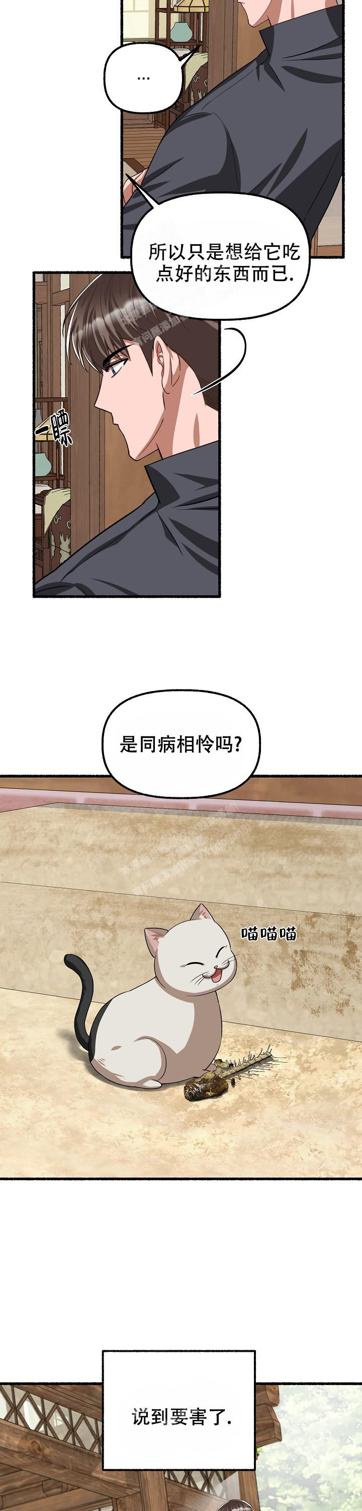 《花代》漫画最新章节第108话免费下拉式在线观看章节第【4】张图片