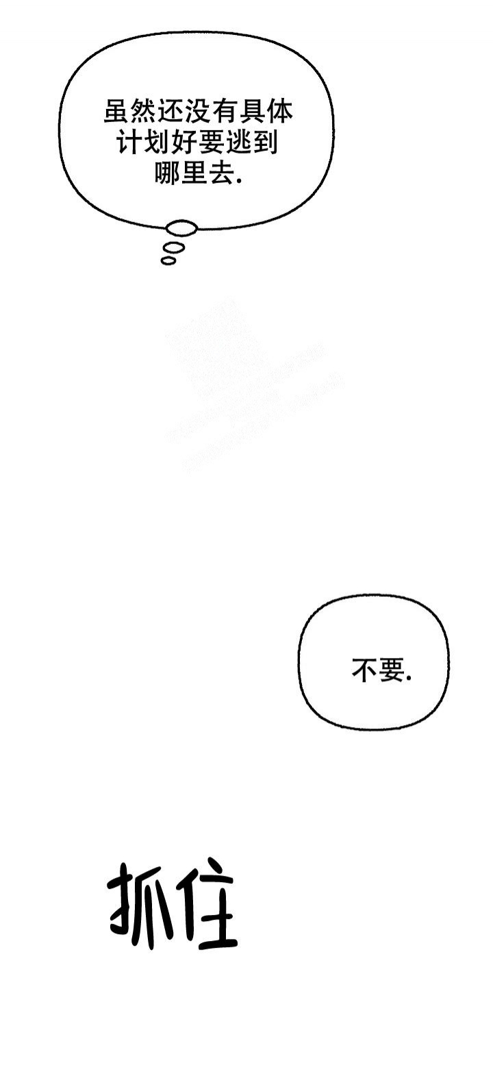 《花代》漫画最新章节第66话免费下拉式在线观看章节第【12】张图片