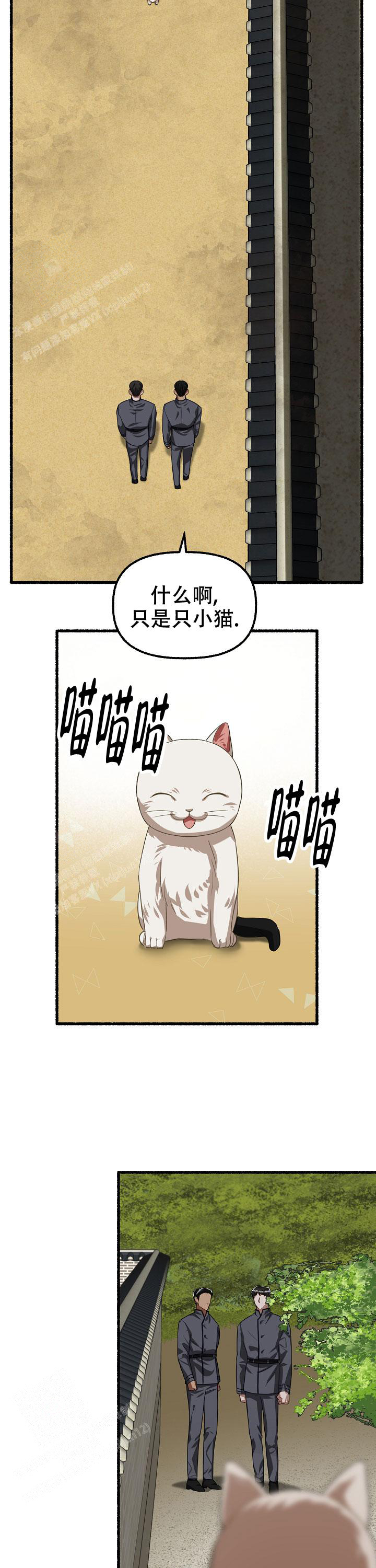 《花代》漫画最新章节第137话免费下拉式在线观看章节第【5】张图片