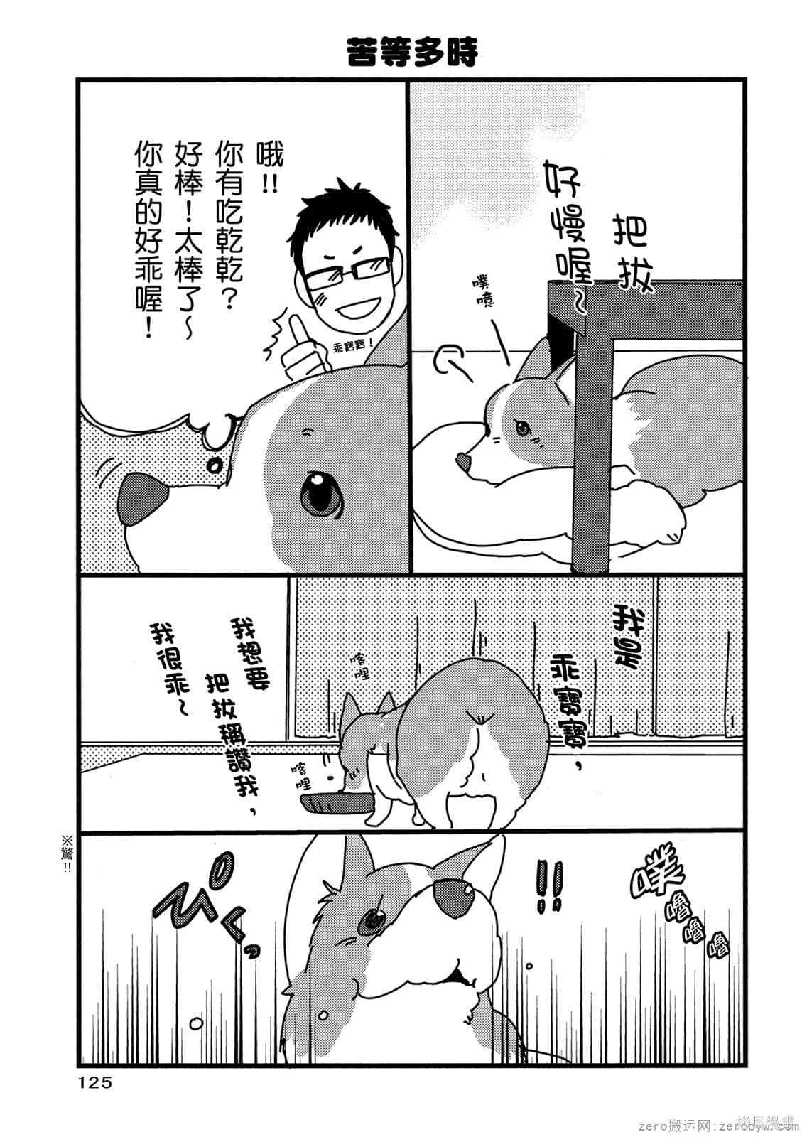 《毛小孩就爱玩～我家柯基萌日记》漫画最新章节第1卷免费下拉式在线观看章节第【126】张图片