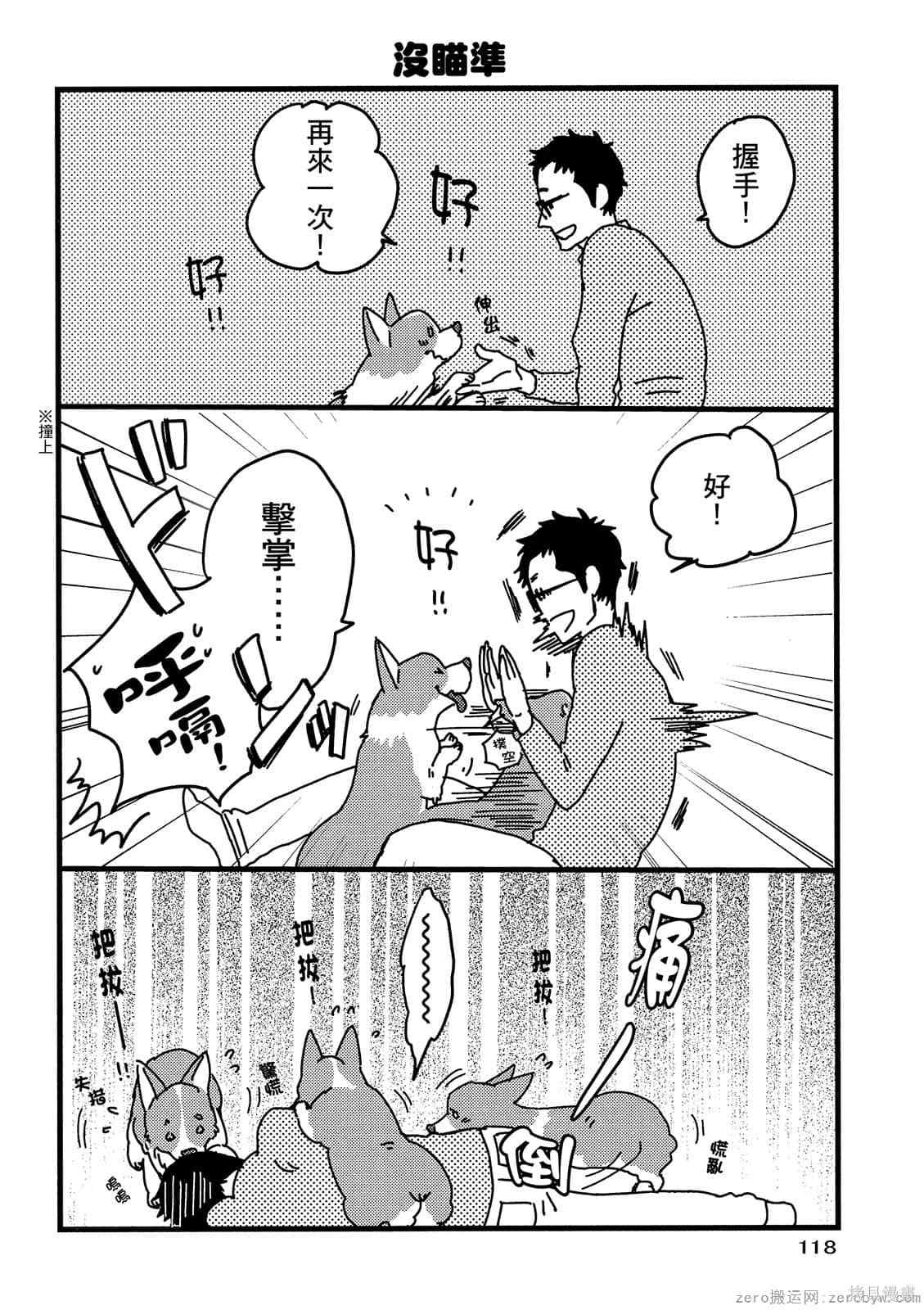 《毛小孩就爱玩～我家柯基萌日记》漫画最新章节第1卷免费下拉式在线观看章节第【119】张图片