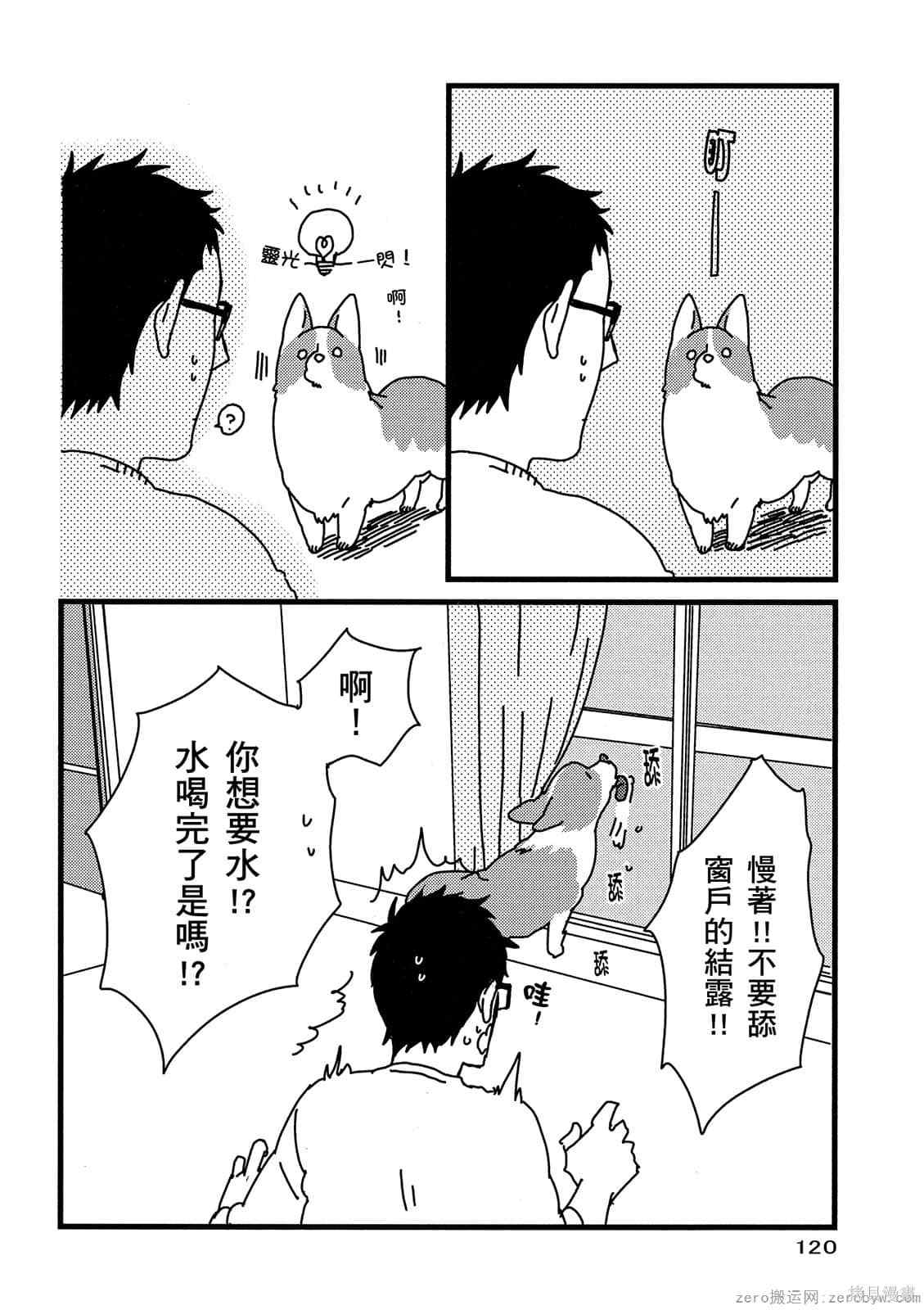 《毛小孩就爱玩～我家柯基萌日记》漫画最新章节第1卷免费下拉式在线观看章节第【121】张图片