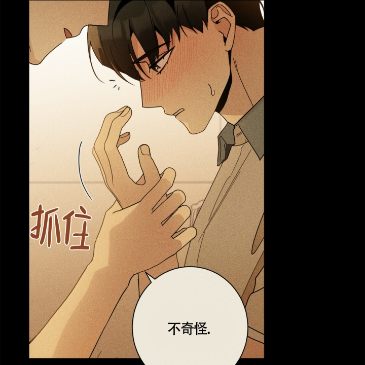 《合租房的爱情故事》漫画最新章节第1话免费下拉式在线观看章节第【25】张图片