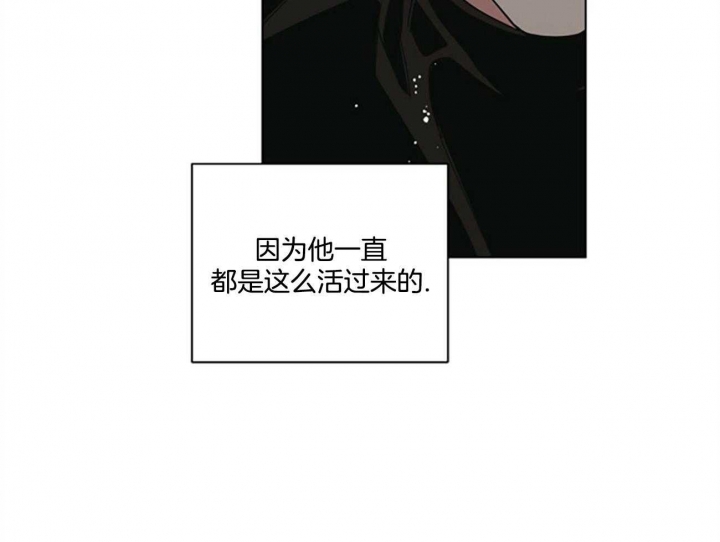 《合租房的爱情故事》漫画最新章节第38话免费下拉式在线观看章节第【7】张图片