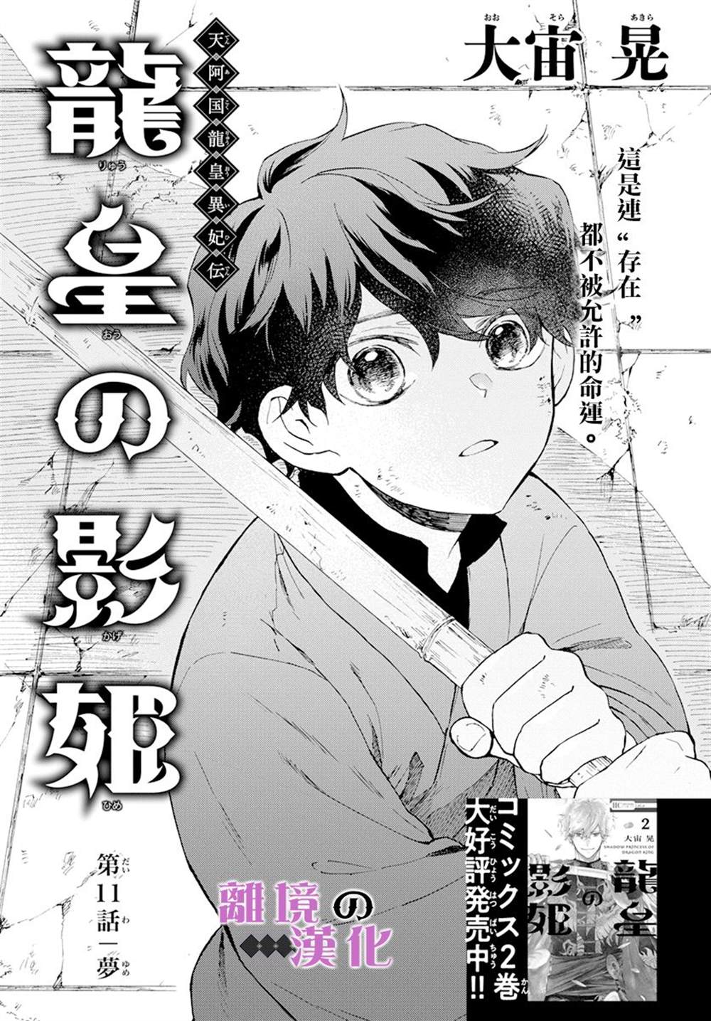 《龙皇的影姬》漫画最新章节第11话免费下拉式在线观看章节第【1】张图片