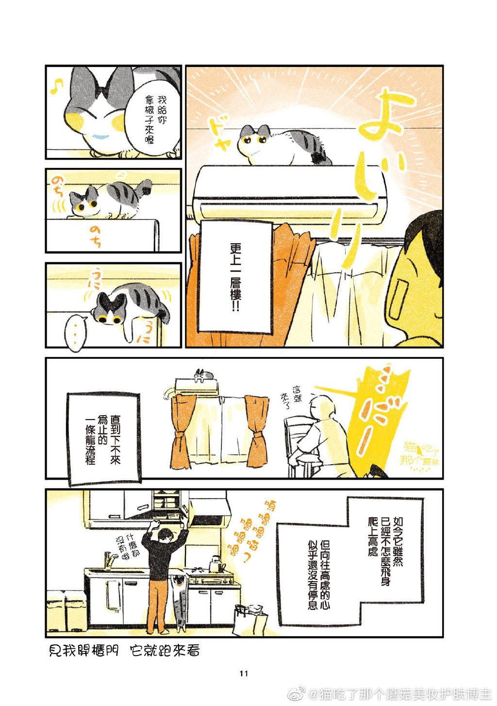 《猫老爷的日常》漫画最新章节第1话免费下拉式在线观看章节第【11】张图片