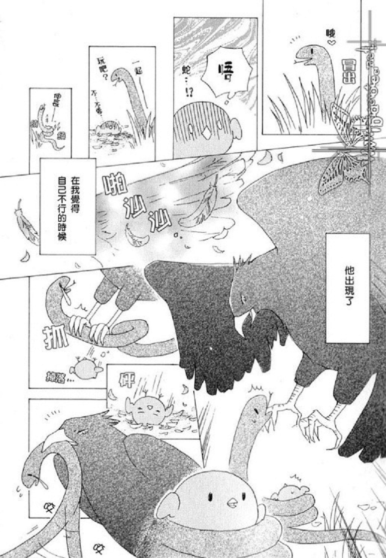 《猫与狗》漫画最新章节第6话免费下拉式在线观看章节第【13】张图片