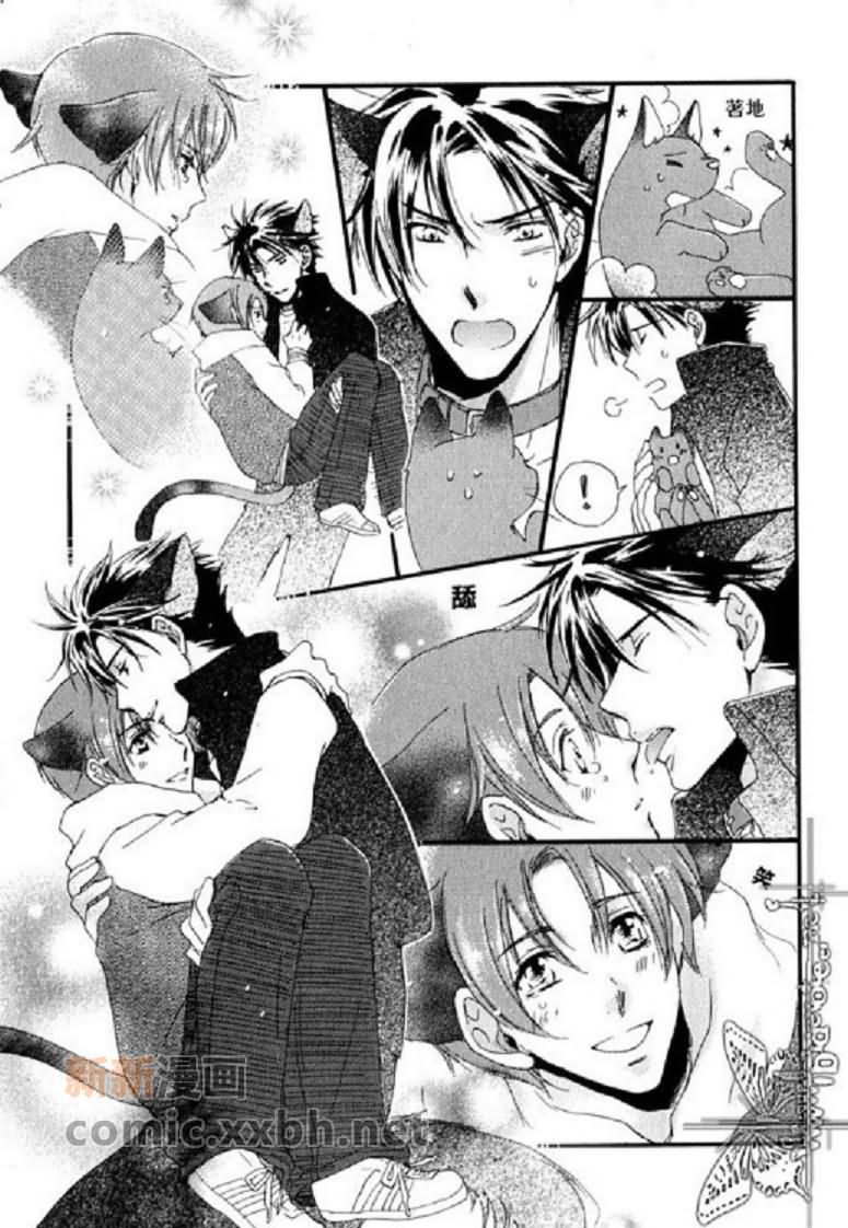 《猫与狗》漫画最新章节第6话免费下拉式在线观看章节第【5】张图片