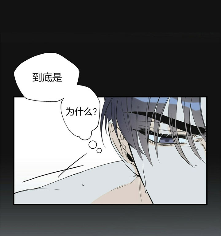 《梦一样的谎言》漫画最新章节第103话免费下拉式在线观看章节第【17】张图片