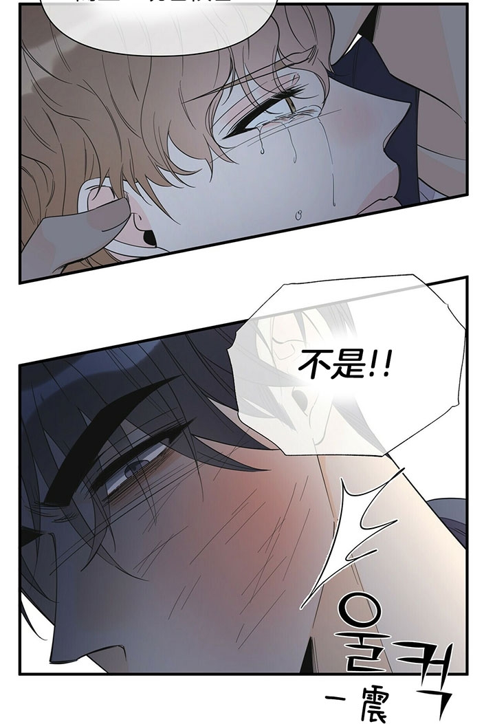 《梦一样的谎言》漫画最新章节第115话免费下拉式在线观看章节第【13】张图片