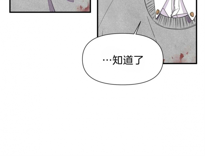 《梦一样的谎言》漫画最新章节第134话免费下拉式在线观看章节第【20】张图片