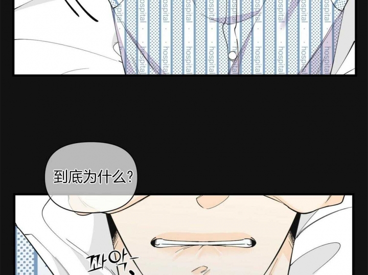 《梦一样的谎言》漫画最新章节第132话免费下拉式在线观看章节第【14】张图片