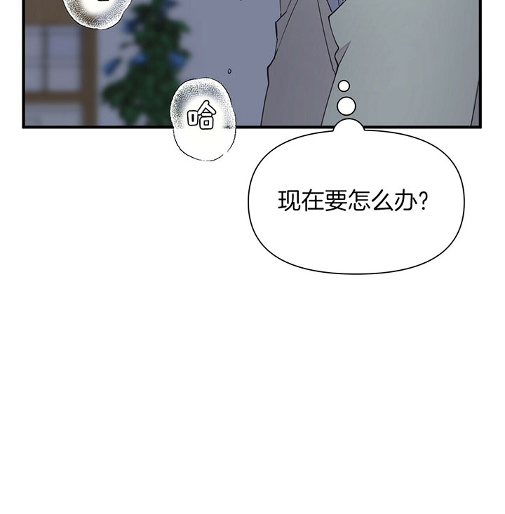 《梦一样的谎言》漫画最新章节第117话免费下拉式在线观看章节第【8】张图片