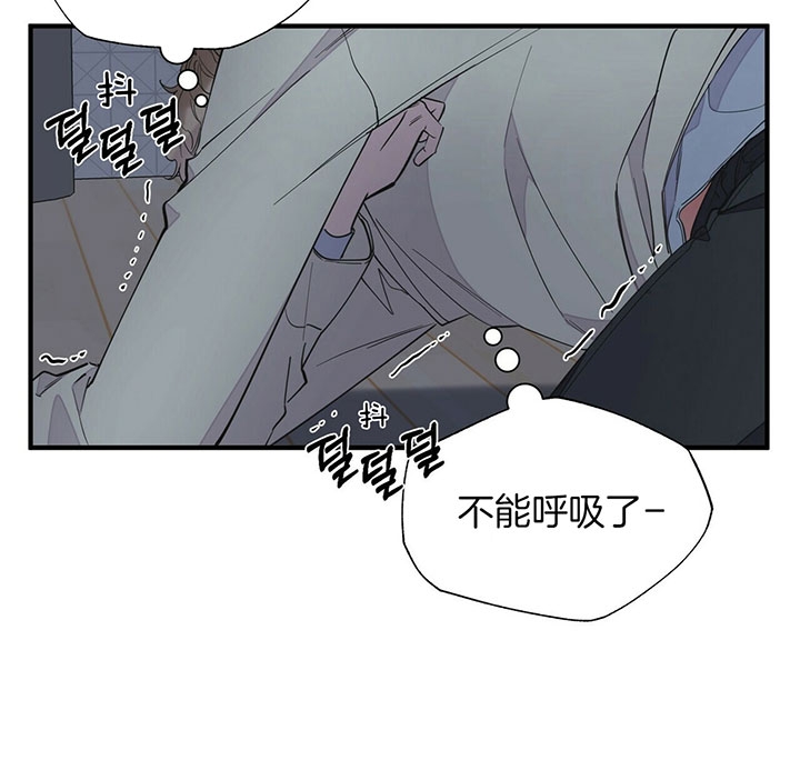 《梦一样的谎言》漫画最新章节第117话免费下拉式在线观看章节第【6】张图片