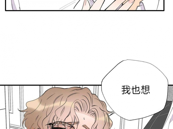 《梦一样的谎言》漫画最新章节第149话免费下拉式在线观看章节第【3】张图片