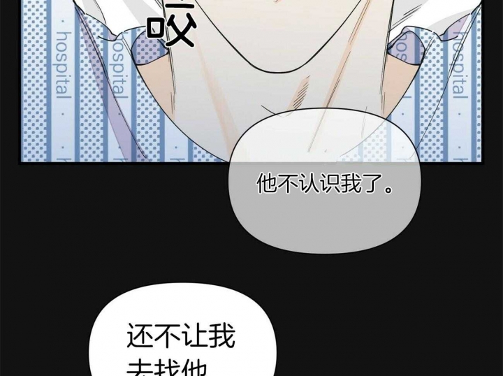 《梦一样的谎言》漫画最新章节第132话免费下拉式在线观看章节第【15】张图片