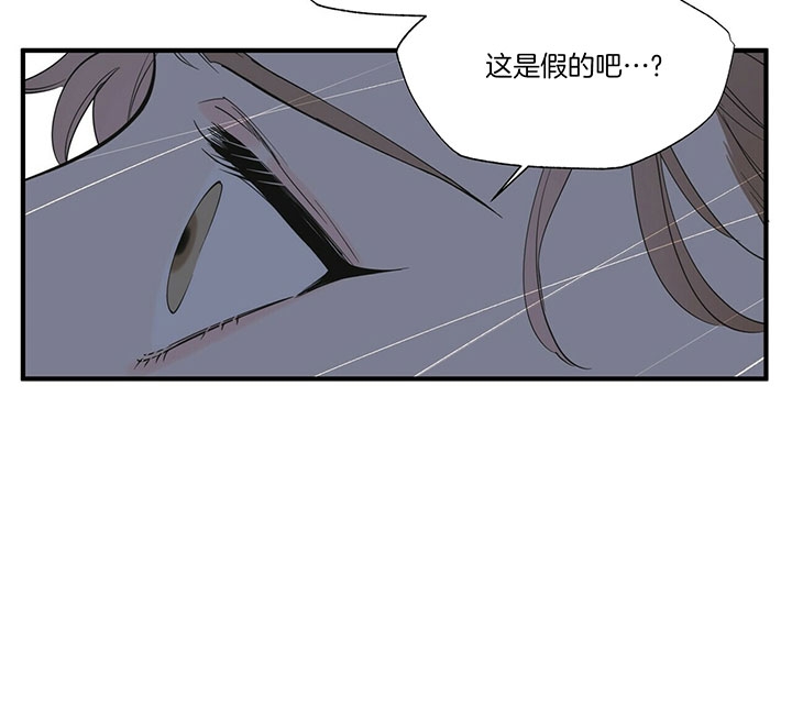 《梦一样的谎言》漫画最新章节第113话免费下拉式在线观看章节第【20】张图片