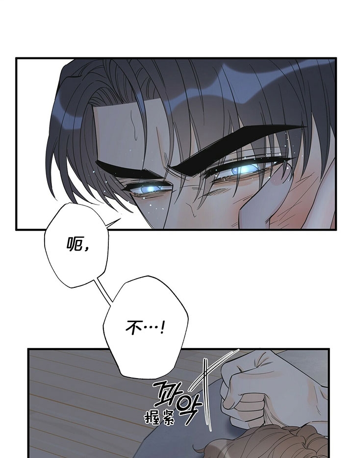 《梦一样的谎言》漫画最新章节第116话免费下拉式在线观看章节第【23】张图片