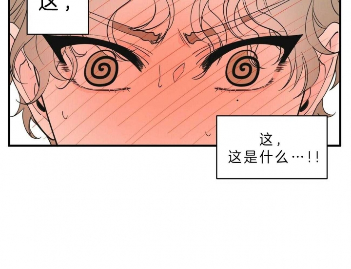 《梦一样的谎言》漫画最新章节第129话免费下拉式在线观看章节第【19】张图片