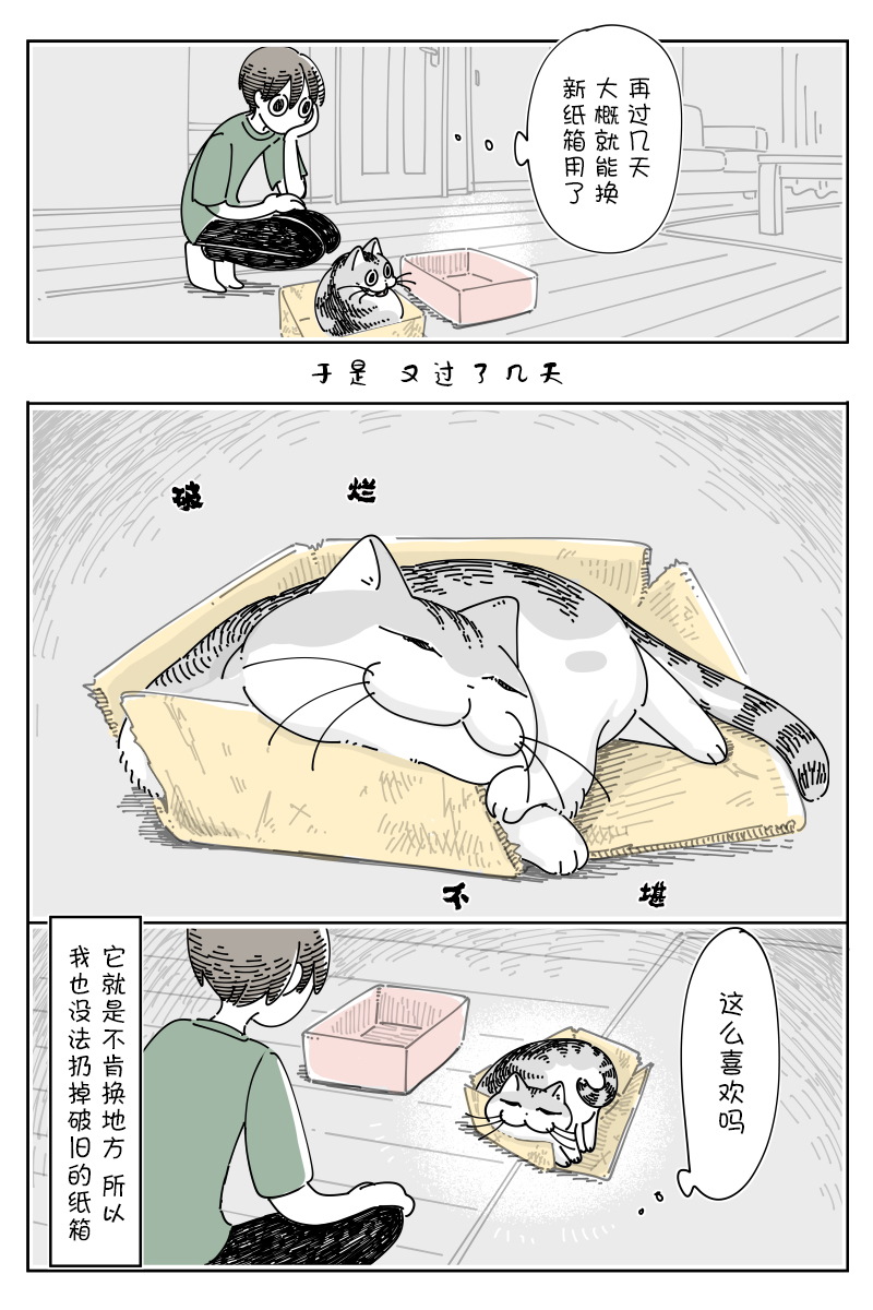 《关于养猫我一直是新手》漫画最新章节第119话免费下拉式在线观看章节第【3】张图片