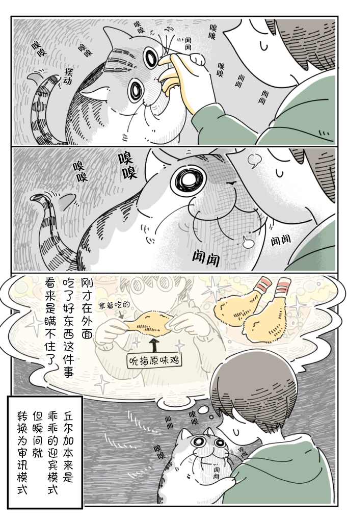 《关于养猫我一直是新手》漫画最新章节第96话免费下拉式在线观看章节第【3】张图片