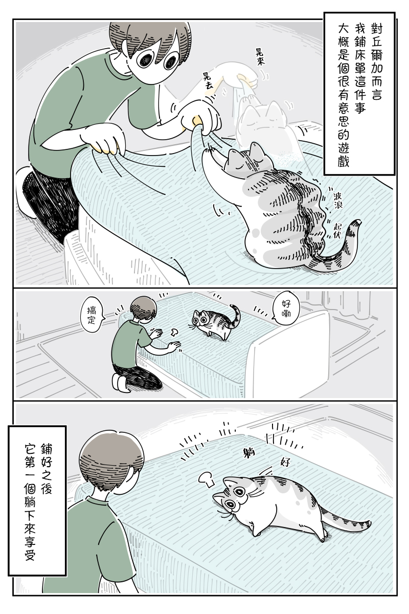 《关于养猫我一直是新手》漫画最新章节第71话免费下拉式在线观看章节第【4】张图片