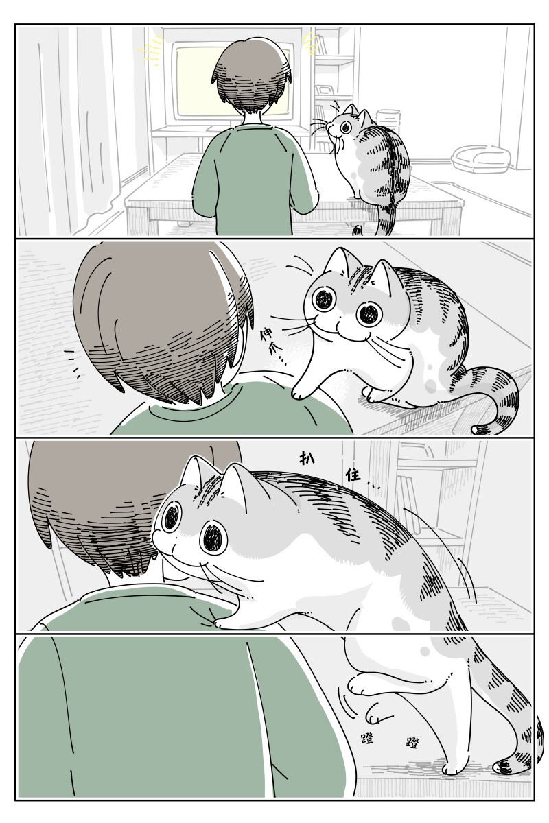 《关于养猫我一直是新手》漫画最新章节第153话免费下拉式在线观看章节第【1】张图片
