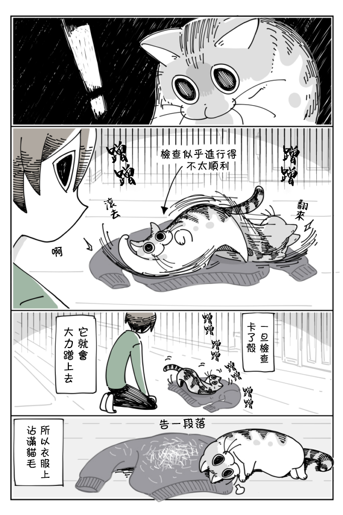 《关于养猫我一直是新手》漫画最新章节第15话免费下拉式在线观看章节第【4】张图片