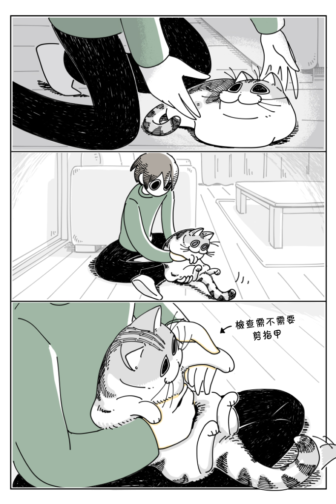 《关于养猫我一直是新手》漫画最新章节第18话免费下拉式在线观看章节第【1】张图片