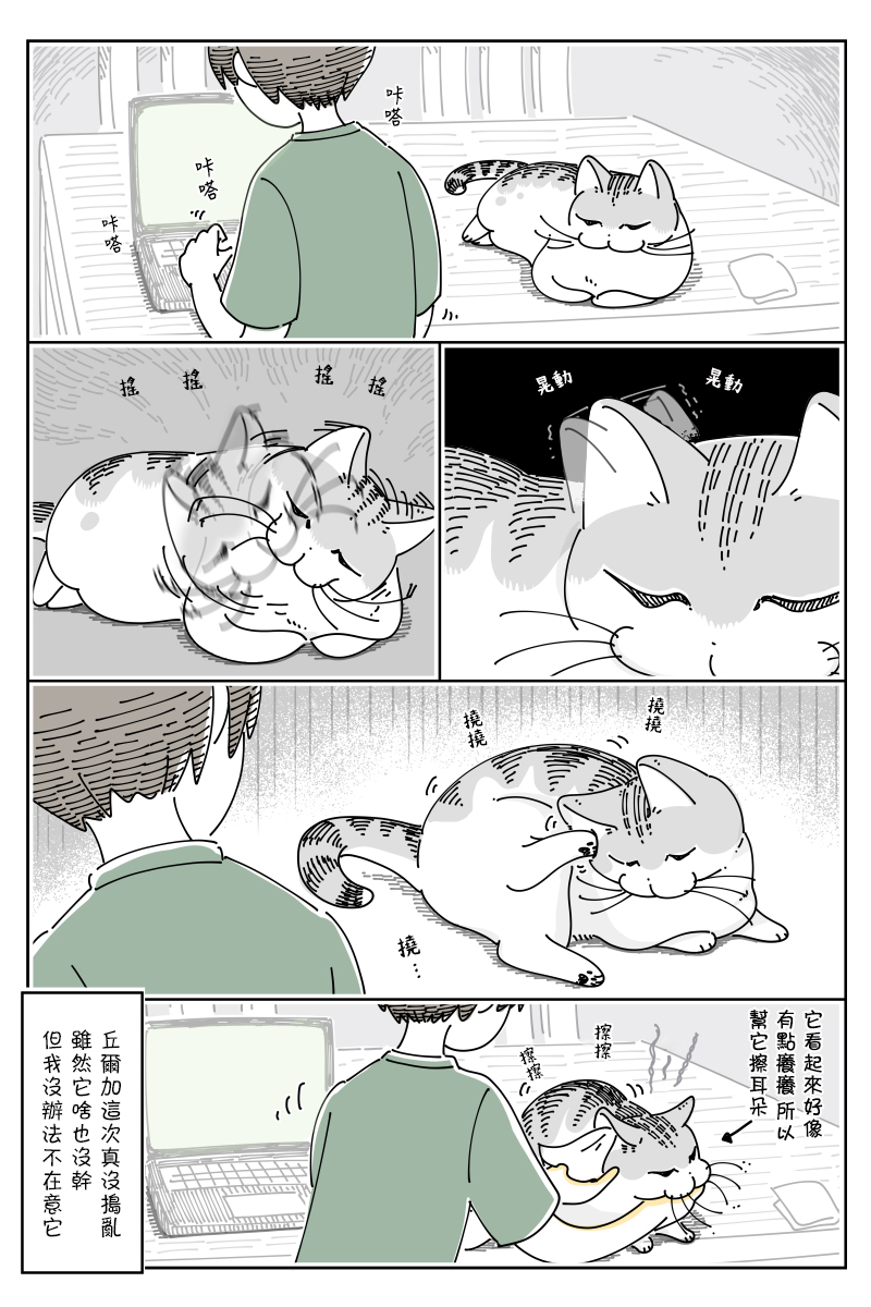 《关于养猫我一直是新手》漫画最新章节第70话免费下拉式在线观看章节第【3】张图片