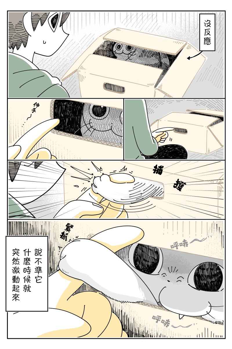 《关于养猫我一直是新手》漫画最新章节第53话免费下拉式在线观看章节第【2】张图片