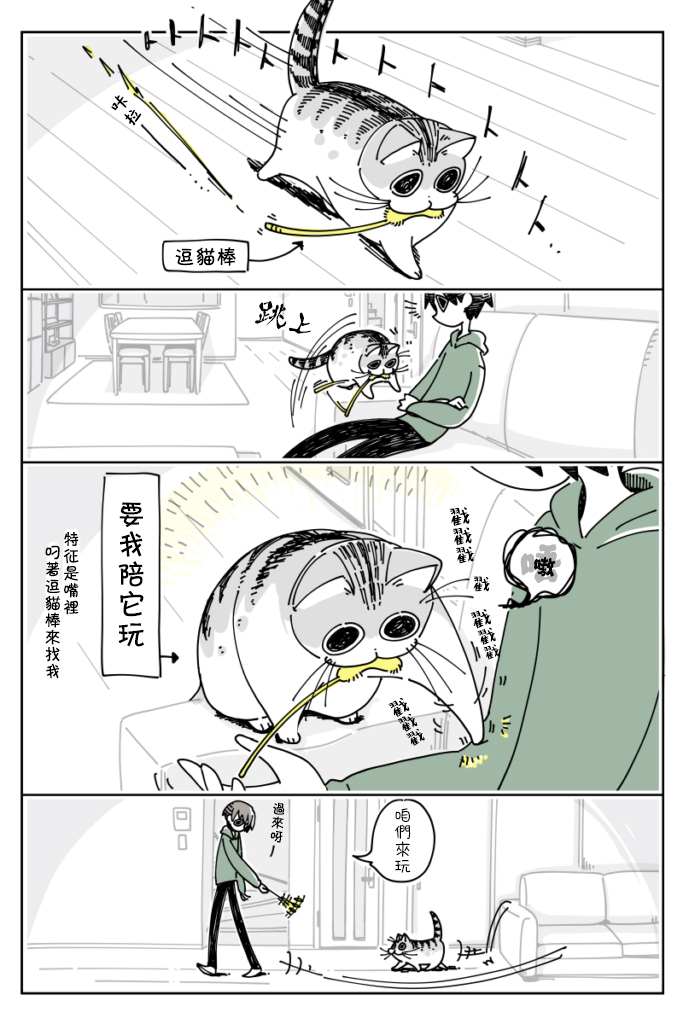 《关于养猫我一直是新手》漫画最新章节第13话免费下拉式在线观看章节第【1】张图片