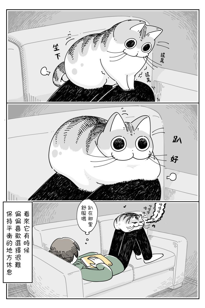 《关于养猫我一直是新手》漫画最新章节第44话免费下拉式在线观看章节第【3】张图片