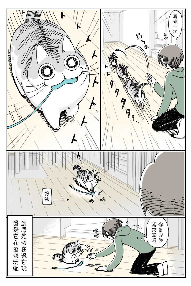 《关于养猫我一直是新手》漫画最新章节第42话免费下拉式在线观看章节第【3】张图片