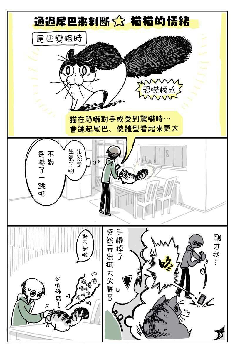 《关于养猫我一直是新手》漫画最新章节第6话免费下拉式在线观看章节第【3】张图片