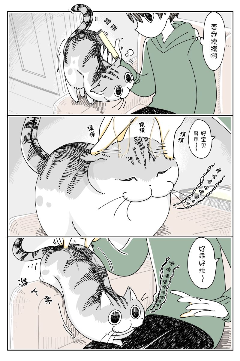 《关于养猫我一直是新手》漫画最新章节第99话免费下拉式在线观看章节第【2】张图片