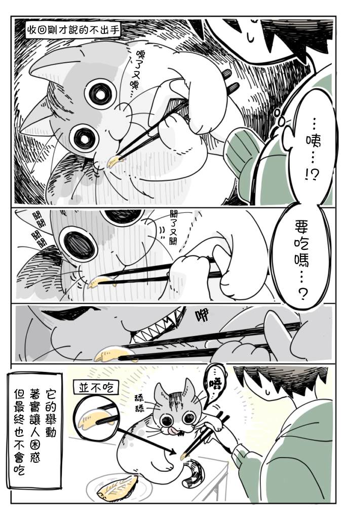 《关于养猫我一直是新手》漫画最新章节第9话免费下拉式在线观看章节第【4】张图片
