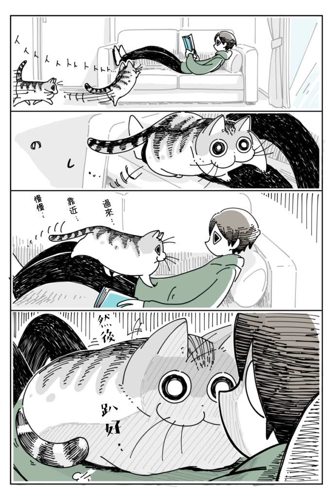 《关于养猫我一直是新手》漫画最新章节第11话免费下拉式在线观看章节第【1】张图片
