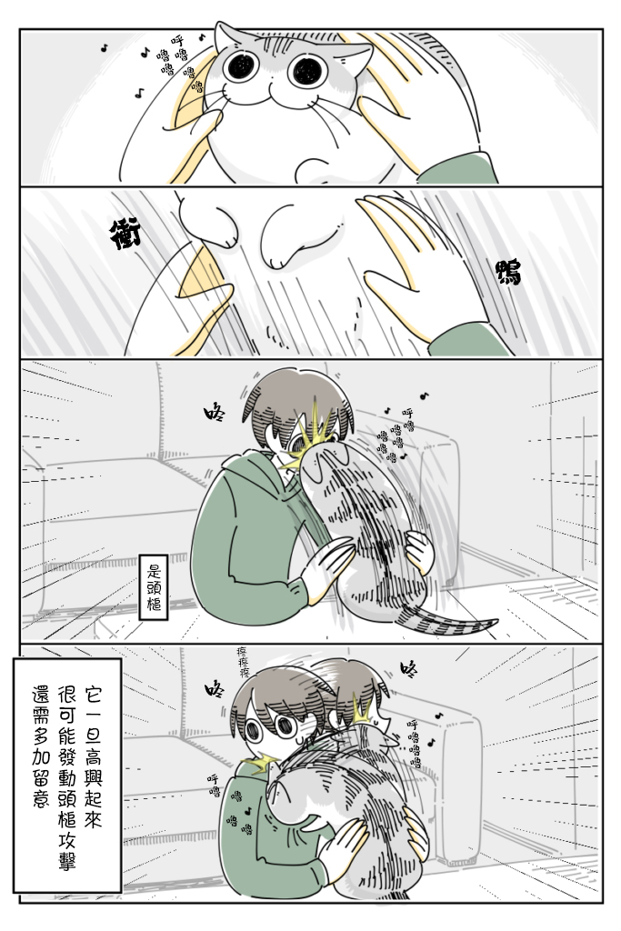 《关于养猫我一直是新手》漫画最新章节第62话免费下拉式在线观看章节第【3】张图片