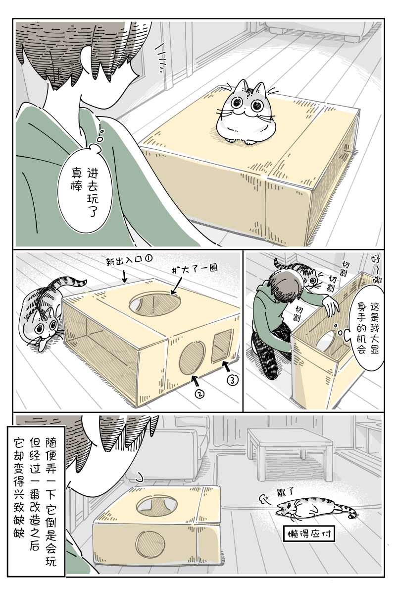 《关于养猫我一直是新手》漫画最新章节第137话免费下拉式在线观看章节第【3】张图片