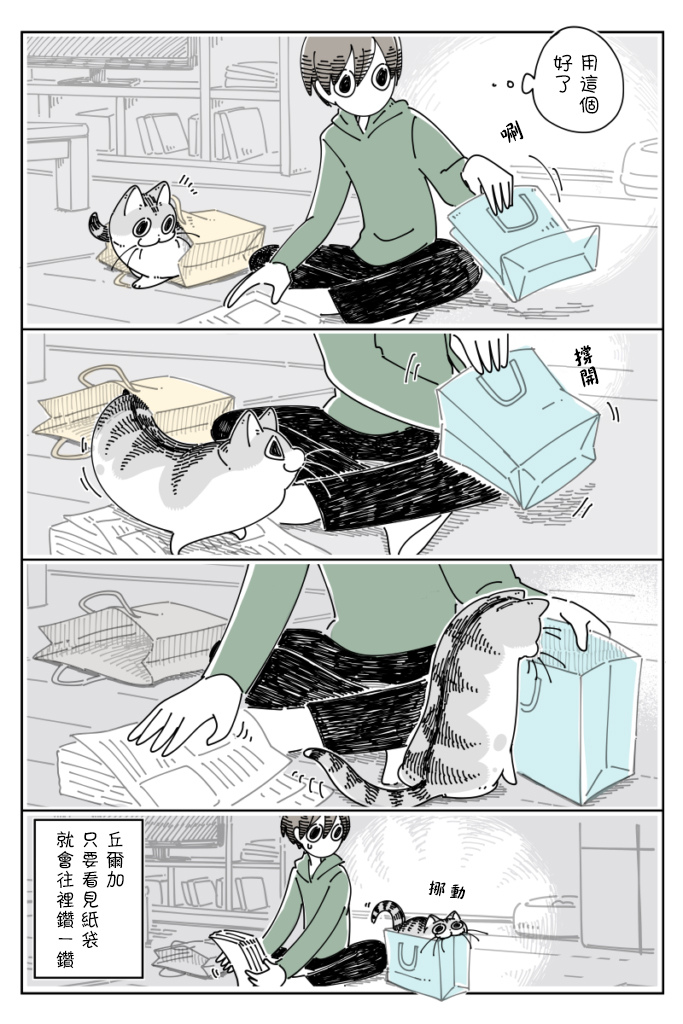 《关于养猫我一直是新手》漫画最新章节第67话免费下拉式在线观看章节第【2】张图片