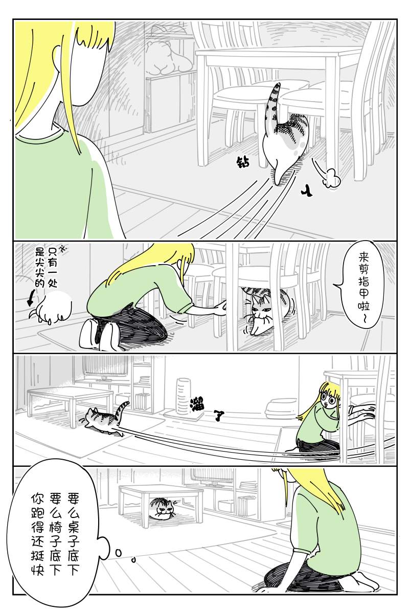 《关于养猫我一直是新手》漫画最新章节第132话免费下拉式在线观看章节第【2】张图片